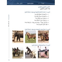 LECTURE ET EXERCICE NIVEAU 3 P2 ( ARABICFORALL )