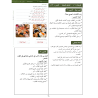 GUIDE PROFESSEUR ADULTE NIVEAU 2 ( ARABICFORALL )