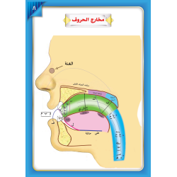 LECTURE ET EXERCICE NIVEAU 7 ( WASSALARABIC )