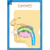 LECTURE ET EXERCICE NIVEAU 7 ( WASSALARABIC )