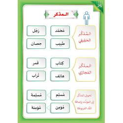 LECTURE ET EXERCICE NIVEAU 6 ( WASSALARABIC )