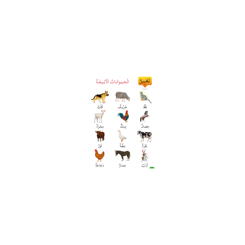 Apprends la langue arabe - Niveau spécial 11 (...