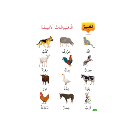 Apprends la langue arabe - Niveau spécial 11 (...