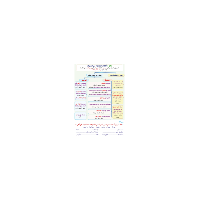 LECTURE EXERCICES SECONDAIRE NIVEAU 3 ( SANABEL...