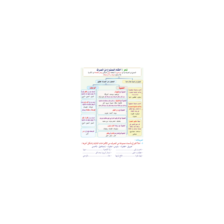 LECTURE EXERCICES SECONDAIRE NIVEAU 3 ( SANABEL BELGIQUE )