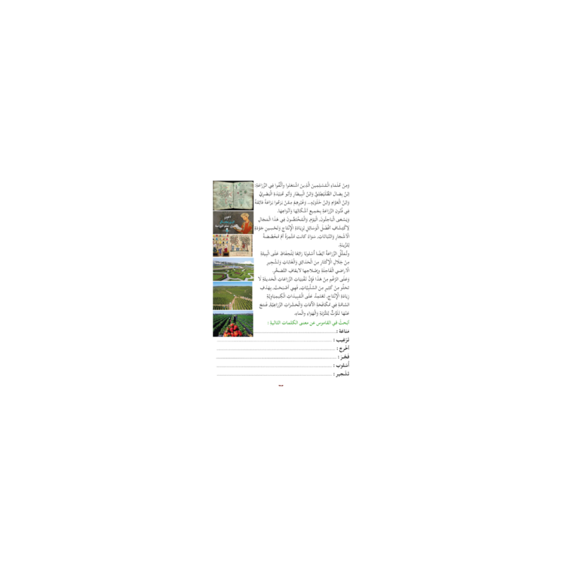 LECTURE EXERCICES SECONDAIRE NIVEAU 4 ( SANABEL...