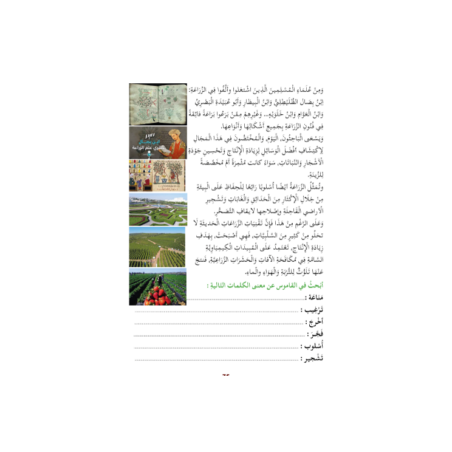 LECTURE EXERCICES SECONDAIRE NIVEAU 4 ( SANABEL...
