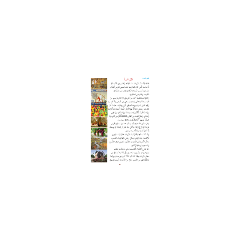 LECTURE EXERCICES SECONDAIRE NIVEAU 4 ( SANABEL...