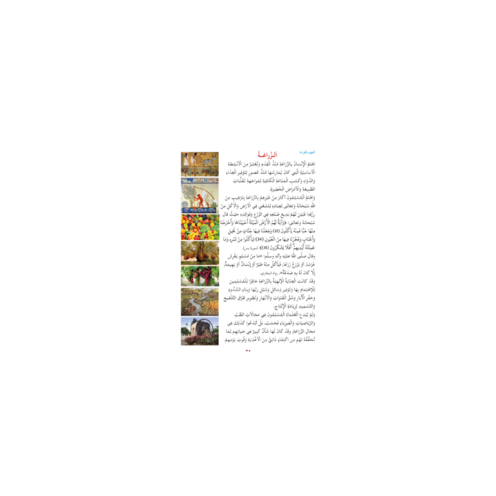 LECTURE EXERCICES SECONDAIRE NIVEAU 4 ( SANABEL BELGIQUE )