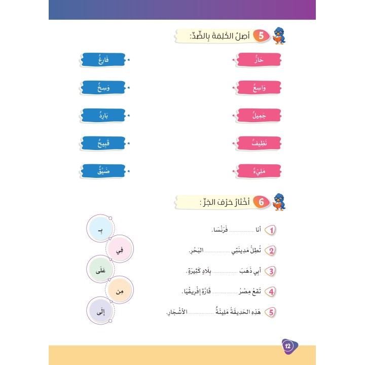 LECTURE ET EXERCICES NIVEAU 6 Pack 2 Livres (TR)