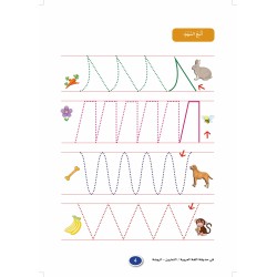 LECTURE ET EXERCICES NIVEAU MATERNELLE (2 LIVRES CAD)