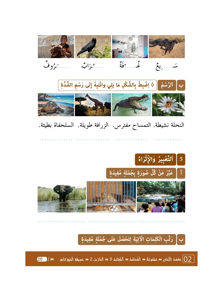 LECTURE ET EXERCICES NIVEAU 3 LP3 (LA HUPPE)