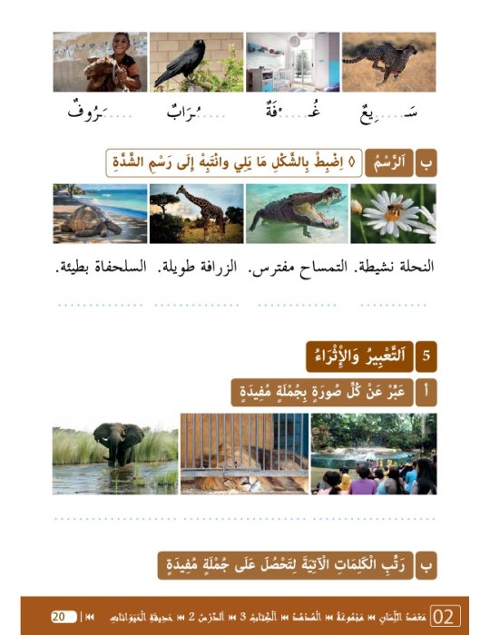LECTURE ET EXERCICES NIVEAU 3 LP3 (LA HUPPE)