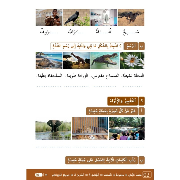 LECTURE ET EXERCICES NIVEAU 3 LP3 (LA HUPPE)