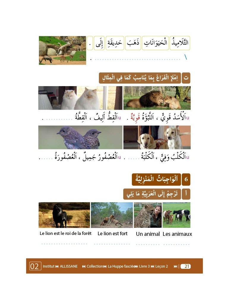 LECTURE ET EXERCICES NIVEAU 3 LP3 (LA HUPPE)
