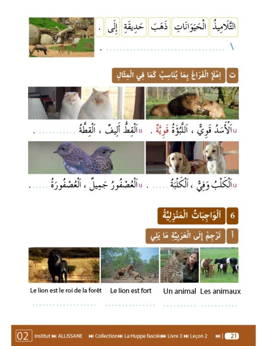 LECTURE ET EXERCICES NIVEAU 3 LP3 (LA HUPPE)