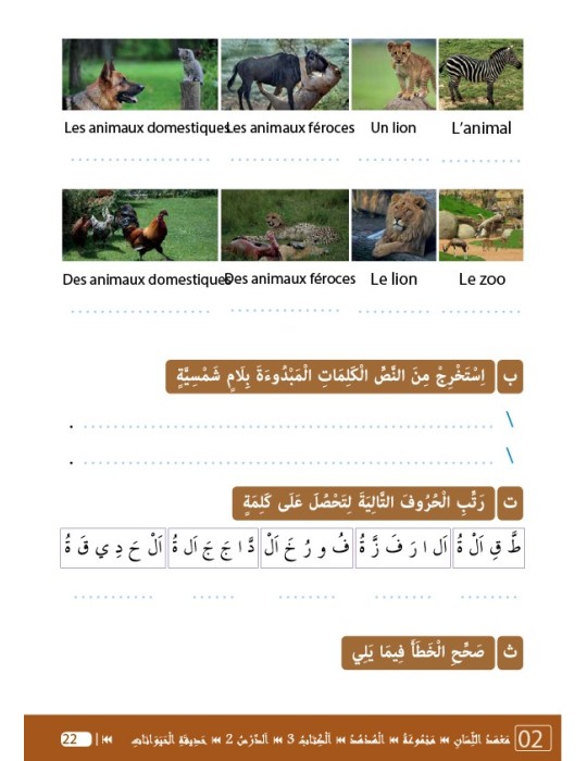 LECTURE ET EXERCICES NIVEAU 3 LP3 (LA HUPPE)