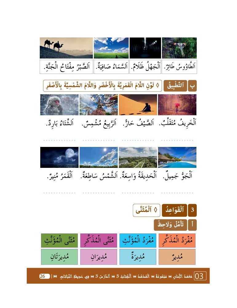 LECTURE ET EXERCICES NIVEAU 3 LP3 (LA HUPPE)